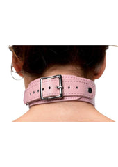 Frisky Miss Behaved Pink Chest Harness