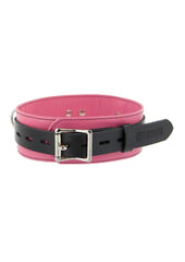 Strict Leather Deluxe Locking Collar - Black/Pink