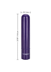 Tiny Teasers Rechargeable Bullet